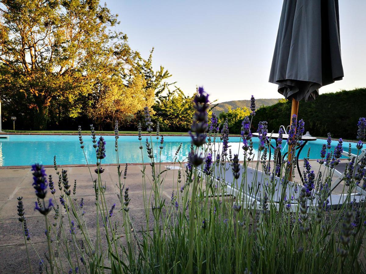 Agriturismo Grecinella Casole dʼElsa Buitenkant foto